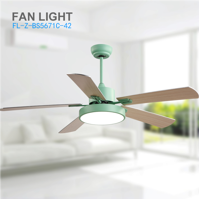 Fan Light fl z BS5671C 42