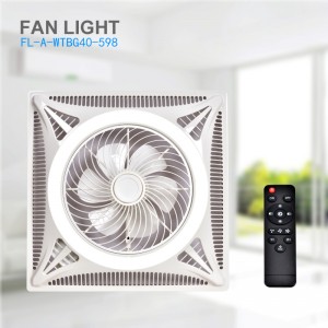 Fan light fl a wtbg40 598